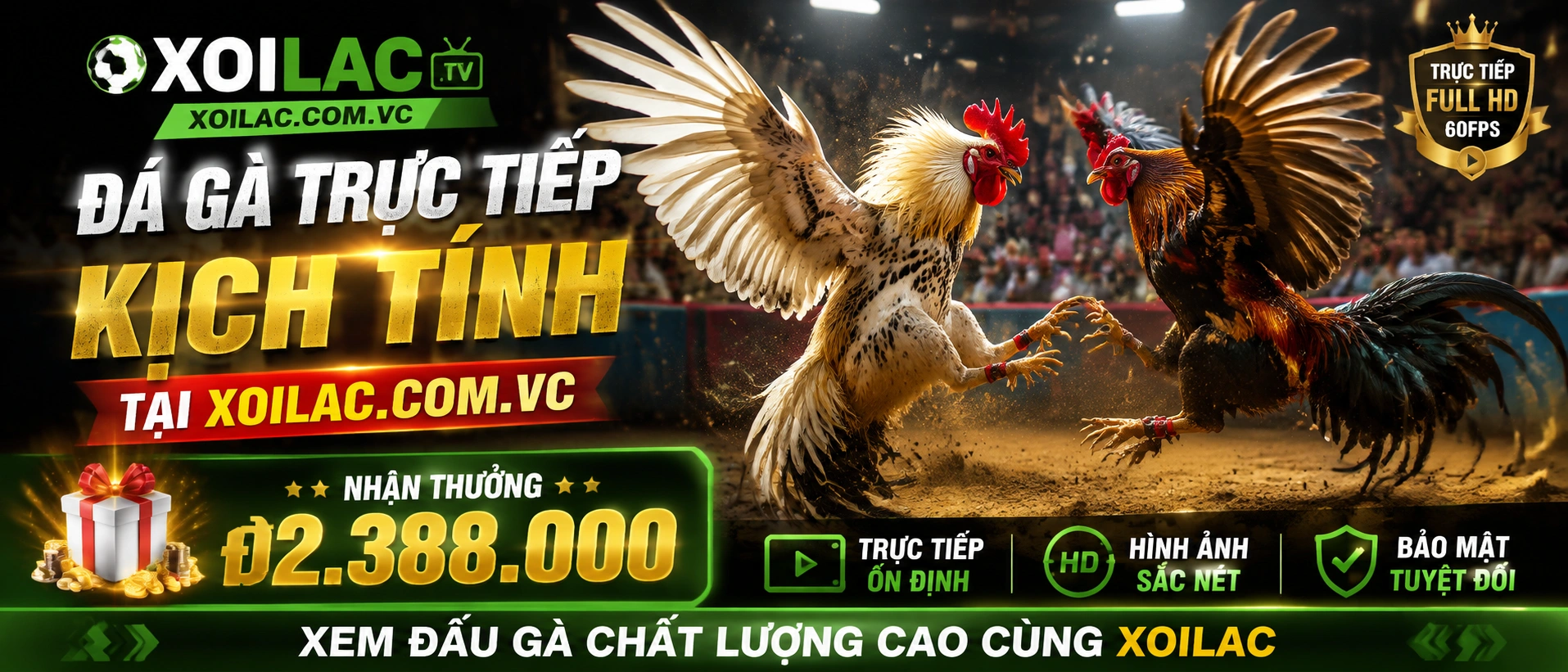 Danh mục Đá Gà Campuchia trên nền tảng